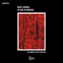 Michel Lauriola - Concrete Transformations