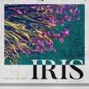 Mike Vaughn - Iris
