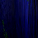 Simon Halsberghe - Cave Speculation