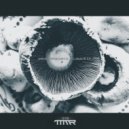 Diego Oroquieta - Pisiform
