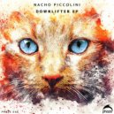 Nacho Piccolini - Why (Original Mix)