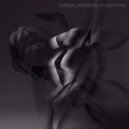 Bipolar Disorder Of The Artist - Surreal Disorder Of Emotions