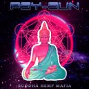 Psy-Sun - Paranormal Universe