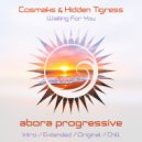 Cosmaks & Hidden Tigress - Waiting For You (Chillout Mix)