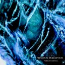 Phantom Perception - Vibrant Crystal