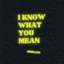 JJMillon - I Know What You Mean