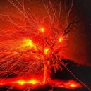 Los Angelenos - Bonfire in the Canyon