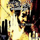 PYRAXX SOUNDDESIGN - ALIEN PRISON ()