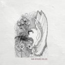 Hieronymus Dub - Black Widow