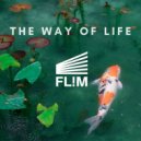 Flim - Beautiful Jim (Original Mix)
