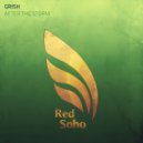 Grish - After The Storm