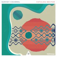 Survey Channel - Spectrum of a Ring