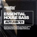 Basic Stuff - The Memory (Sebastian Flatter Dub Mix)