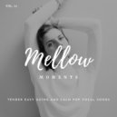Steve Willoughby - Your Undying Fire (Short) (Original Mix)