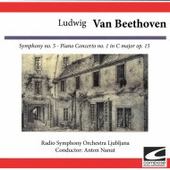 Radio Symphony Orchestra Ljubljana - Symphony no. 5 in C minor op. 67: Andante con moto
