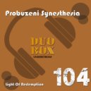 Probuzeni Synesthesia - Light of Redemption