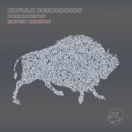 Marco Bedini - Remindered