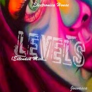 Electronica House & Joevasca - Levels