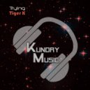 Tiger K - Trying