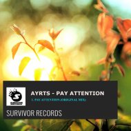 Ayrts - Pay Attention