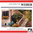 Radio Symphony Orchestra Pilsen - Concertino Op. 26 in C minor-E flat major - Adagio Ma Non Troppo
