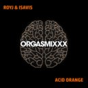 RoyJ & IsaVis - Acid Orange (Original Mix)