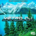 Metro Dj - Wani Vona (Original Mix)