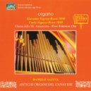 Daniele Sajeva - A voce umana: Andante ()