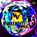 workenoizedren - for the forest XI