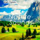 Aleh Famin - Nature Sounds