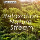 Aleh Famin - Relaxation Nature Stream