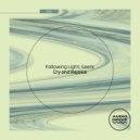 Following Light - Cry and Rejoice (Geerk Remix)