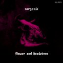 Rorganic - Undead Pigeon (Original mix)