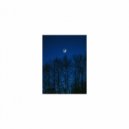 Mindfulness Healing Sleep BGM Project - Hercules & Anxiety (Sleep BGM)