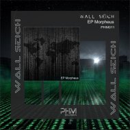 Wall Seich - Cosmo