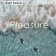 Aleh Famin - Pleasure