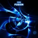 DSM - Fusion (Original Mix)