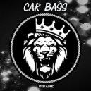 Car Bass - Insane (Original mix)