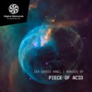 Piece Of Acid - Der Grosse Knall (Adamson Remix)