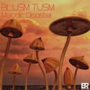 Blusm Tusm - Melodic Disaster (Original Mix)
