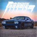 NikiNovok - Paradigm