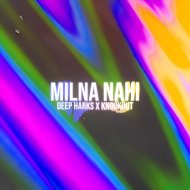 Deep Harks & Knockout & STYM - Milna Nahi