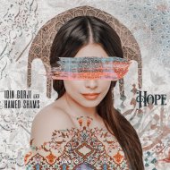Idin Gorji & HAMED SHAMS - Hope
