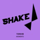 Torsvm - Dpplr