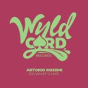 Antonio Rossini - Do What U Like (Original Mix)