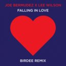 Joe Bermudez  &  Lee Wilson  - Falling In Love