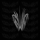 GASHIT - SILVERNIGHT