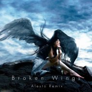 CrosS - Broken Wings