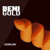 Beni Gold - The Journey