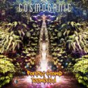 Cosmoganic  - Forest Stomp (Aqui Remix)
